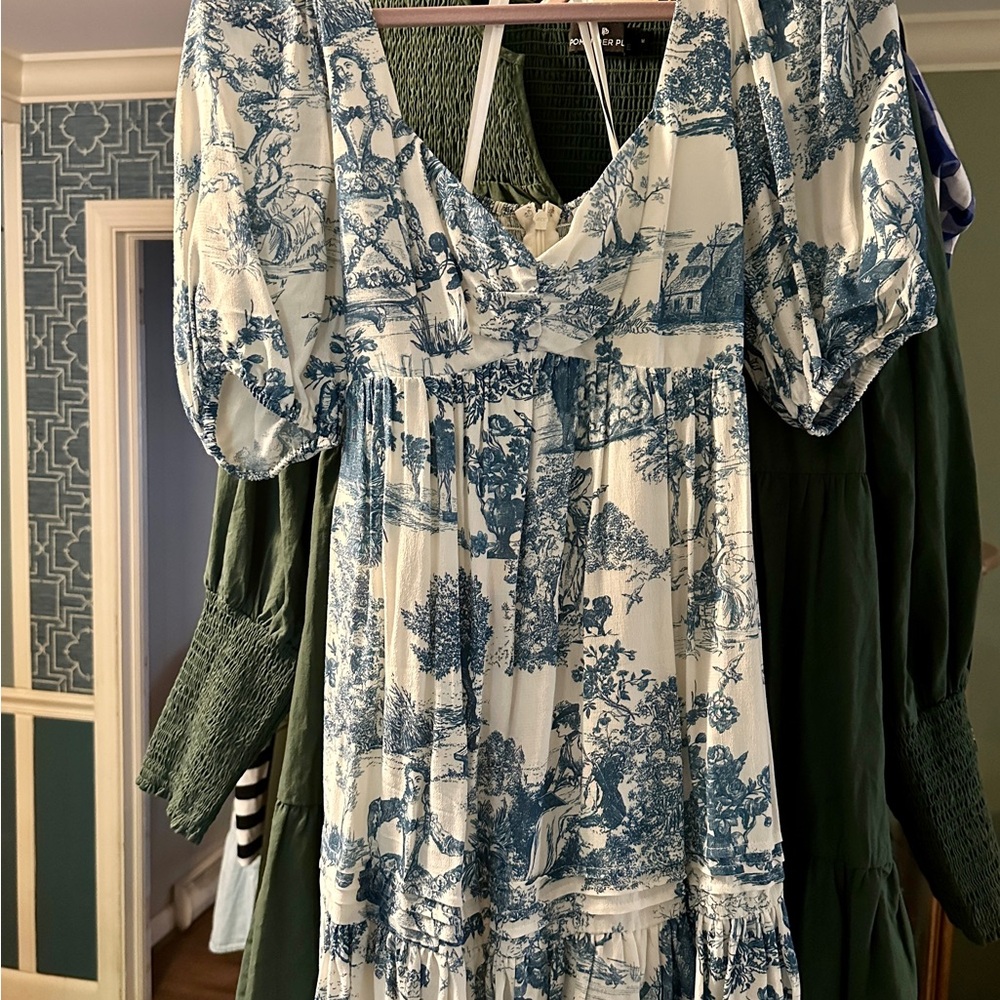 Gianni Bini toile mini, very Bridgerton!